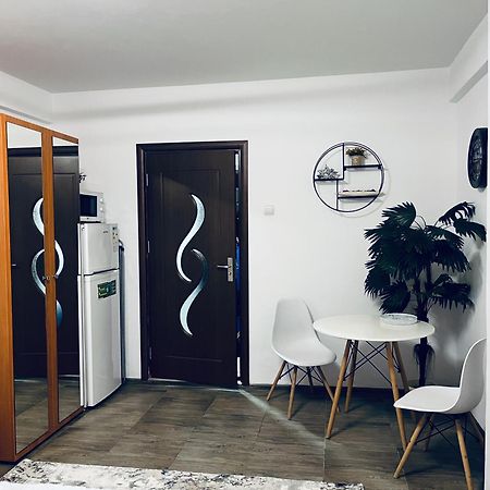 Studio Vio Lägenhet Tulcea Exteriör bild