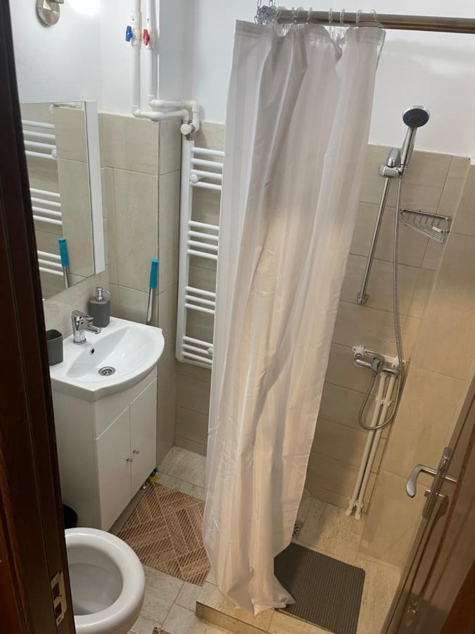 Studio Vio Lägenhet Tulcea Exteriör bild